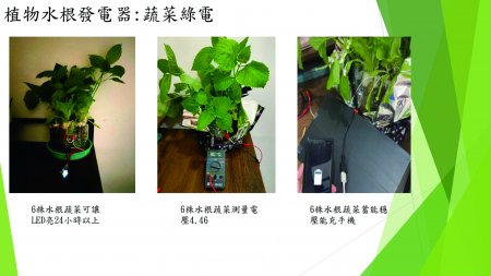 綠色革新！桃園八德大忠國小「水根植物發電器」榮獲上海發明展金牌